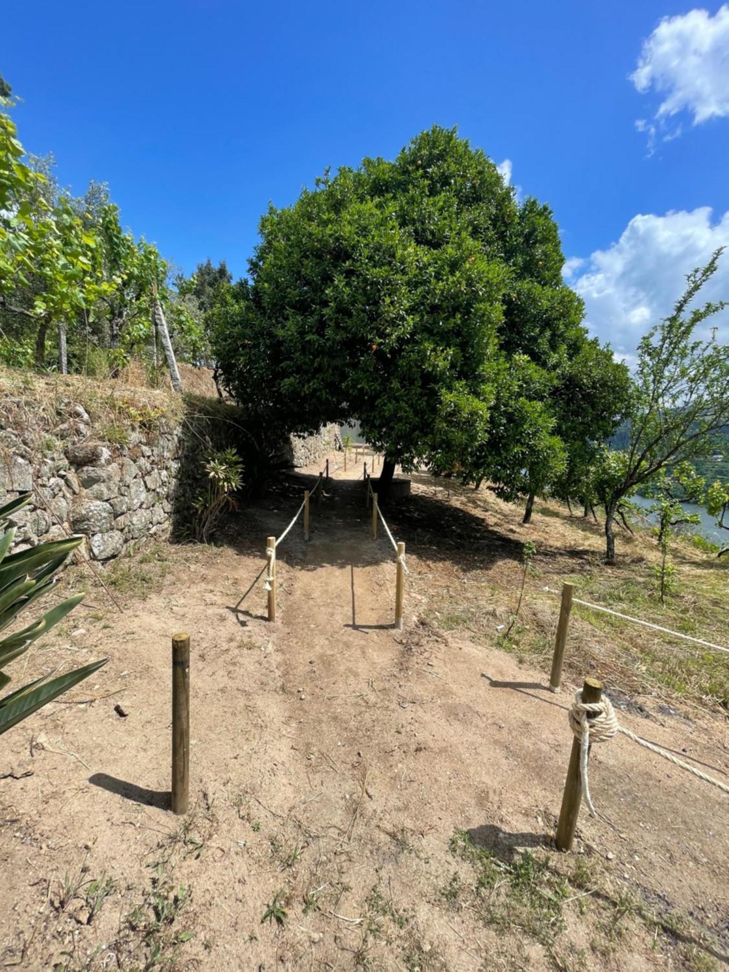 Quinta Vale Do Cabo